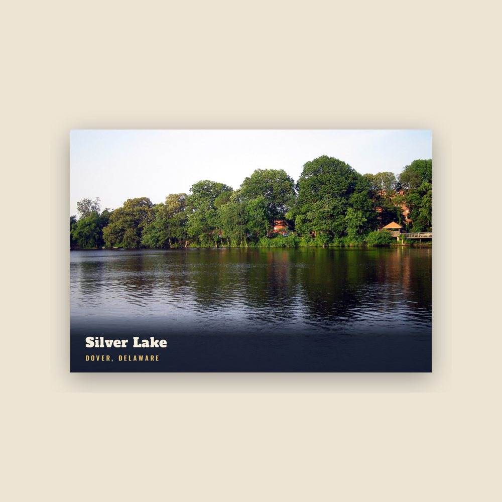 Dover Silver Lake Postcard