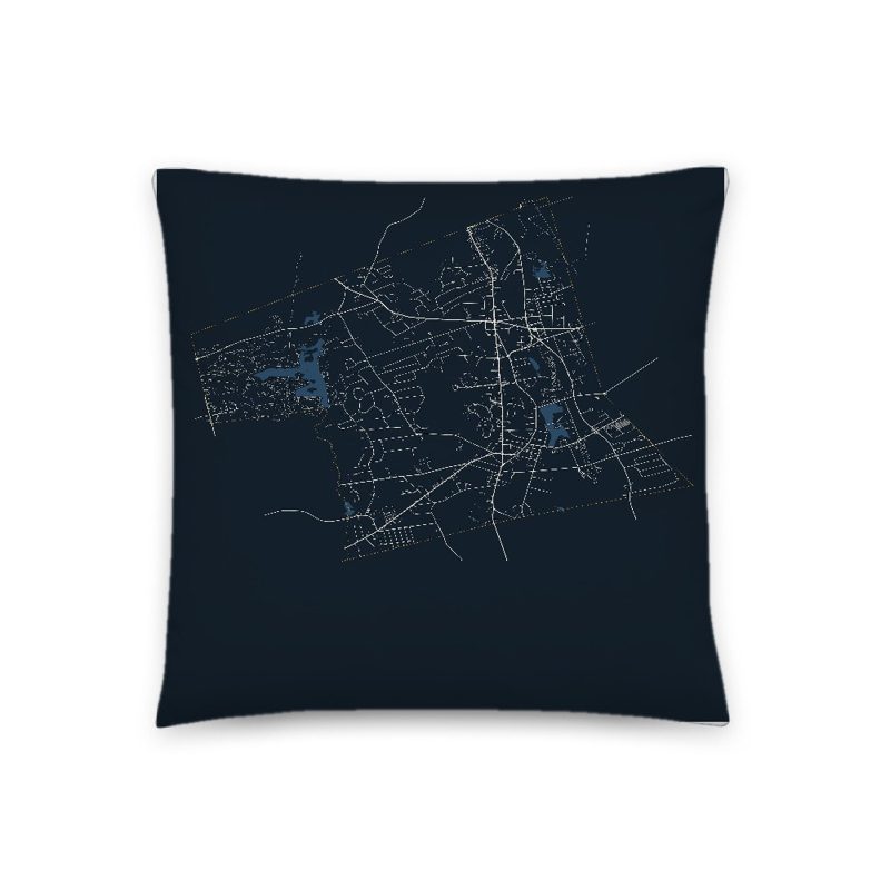 Abington Map Throw Pillow