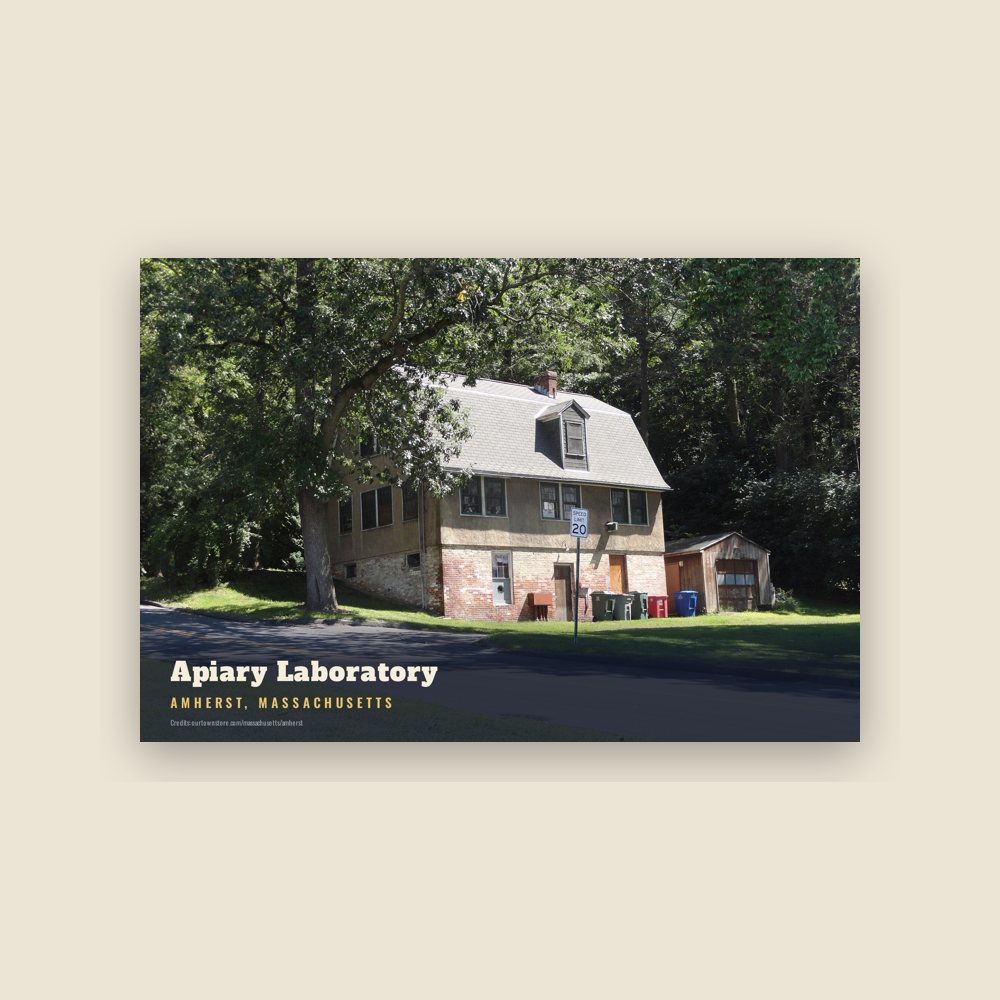 Amherst Apiary Laboratory Postcard