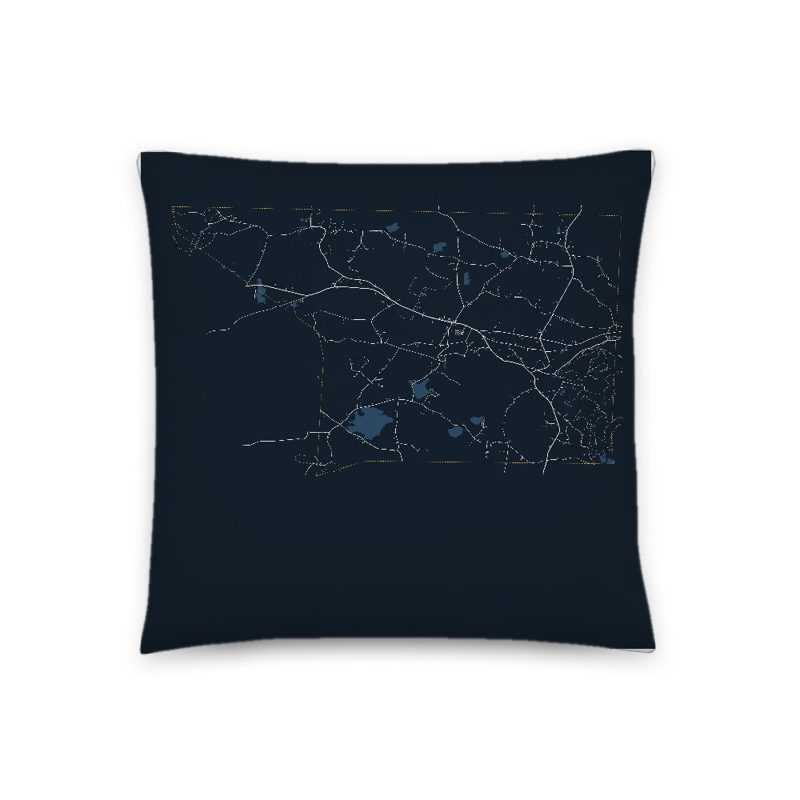 Ashby Map Throw Pillow