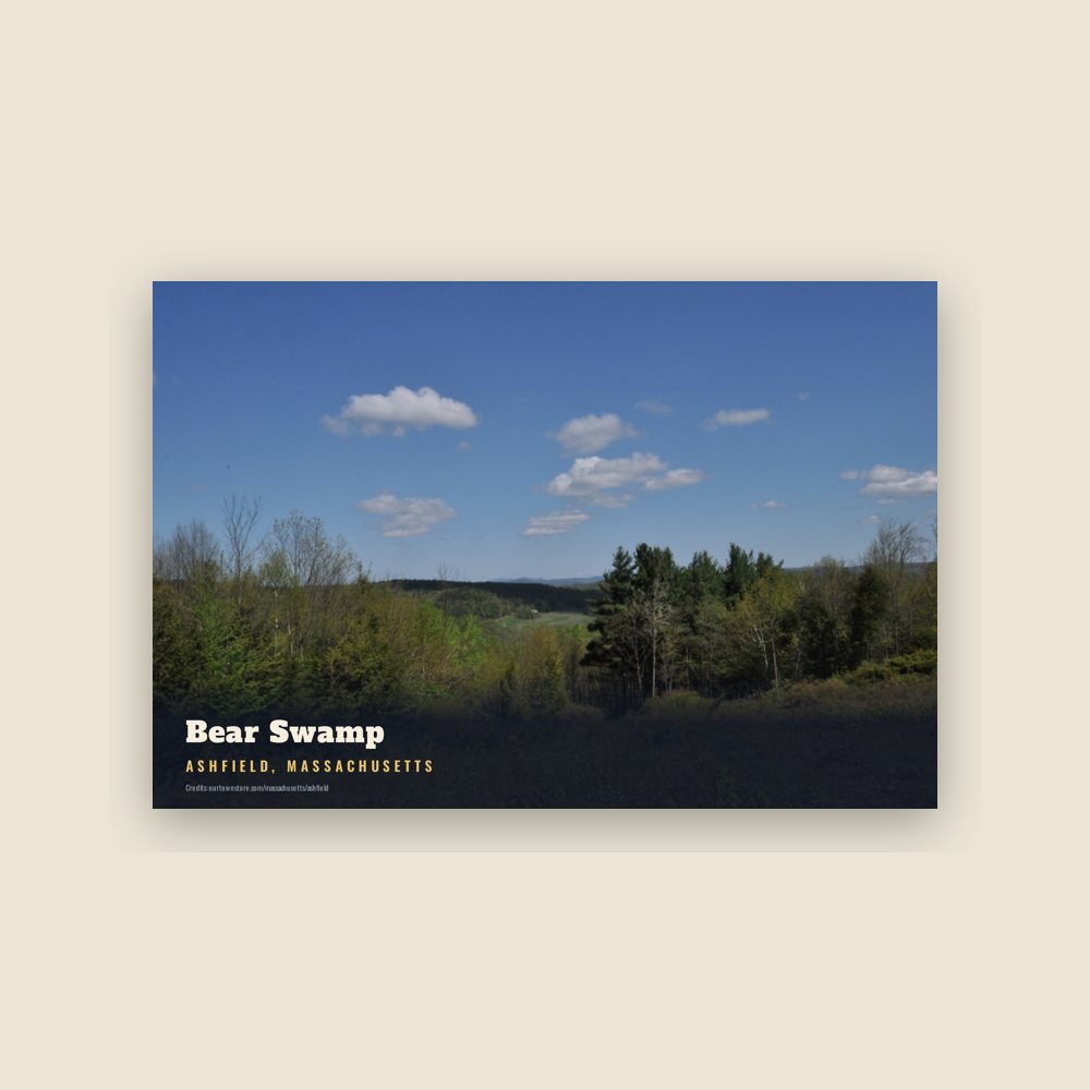 Ashfield Bear Swamp Postcard