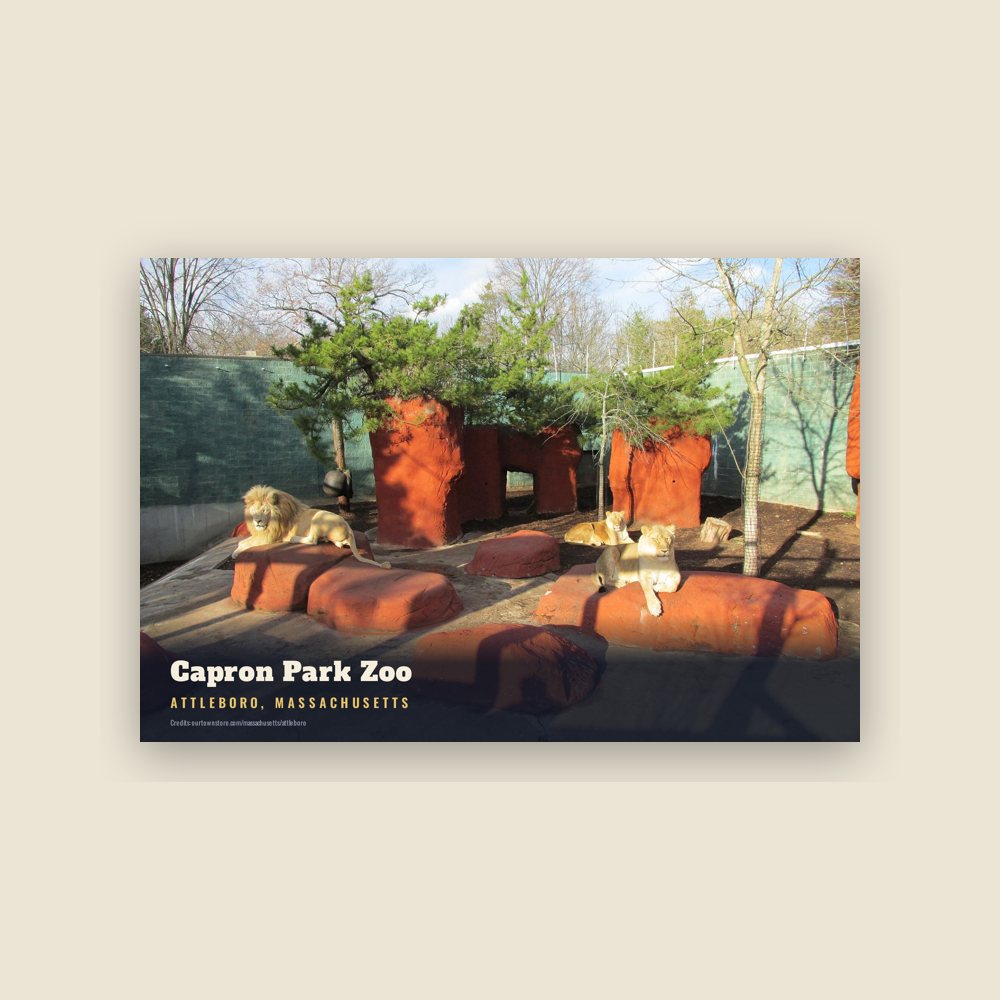 Attleboro Capron Park Zoo Postcard