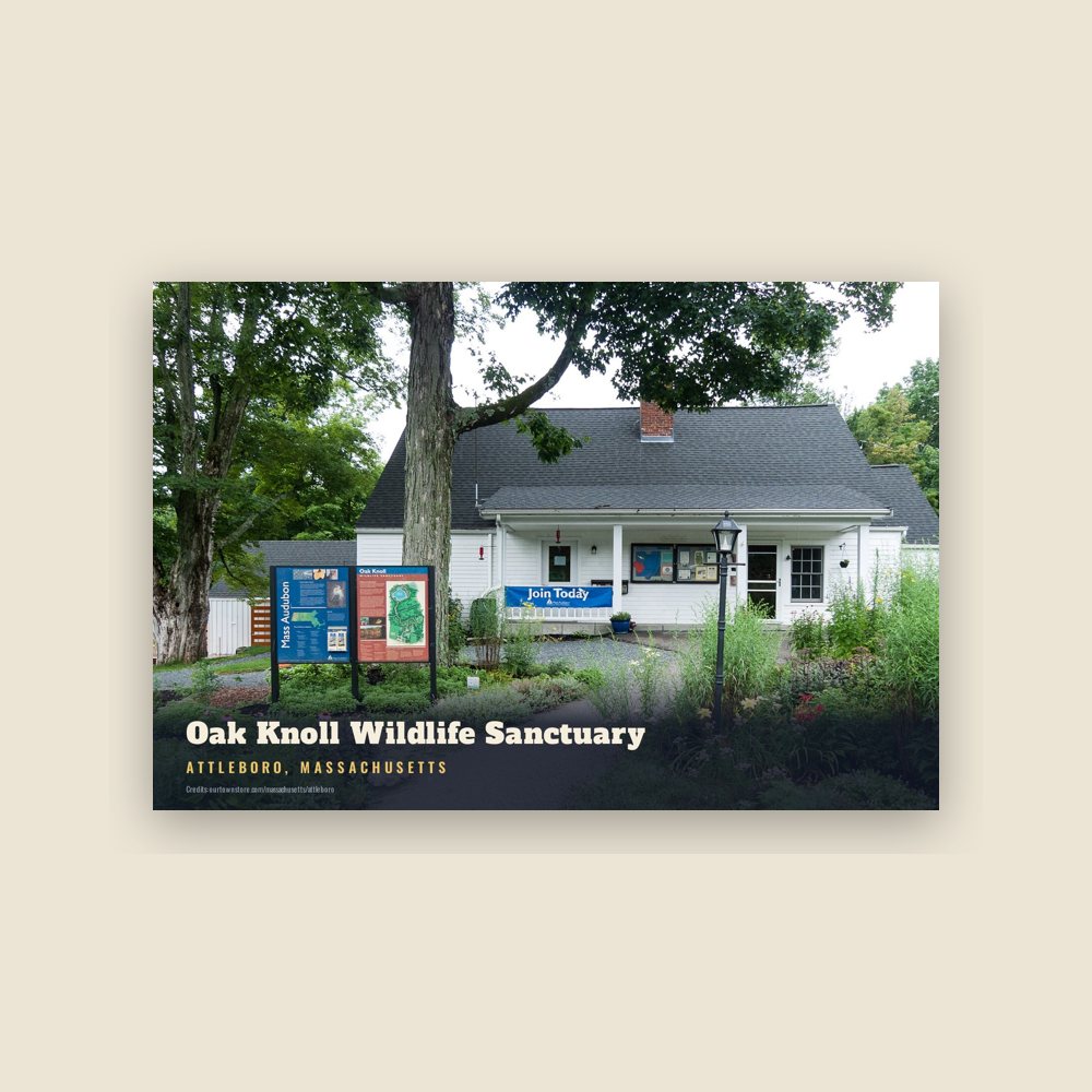 Attleboro Oak Knoll Wildlife Sanctuary Postcard