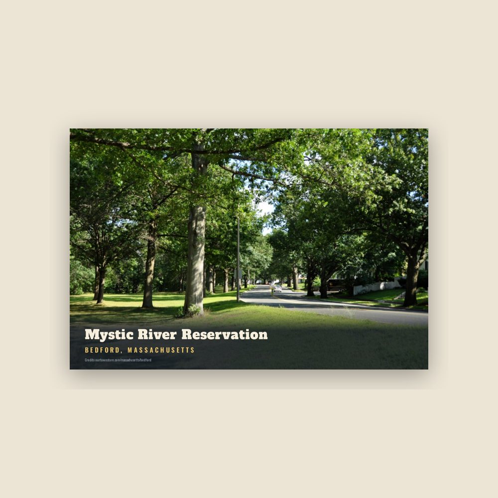 Bedford Mystic River Reservation Postcard