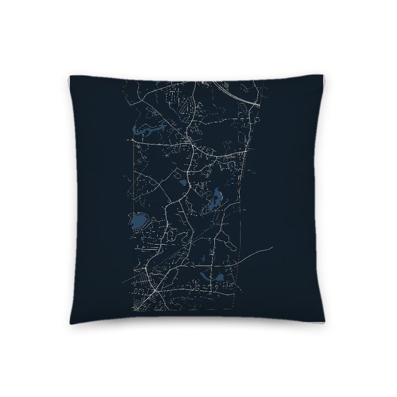 Bellingham Map Throw Pillow