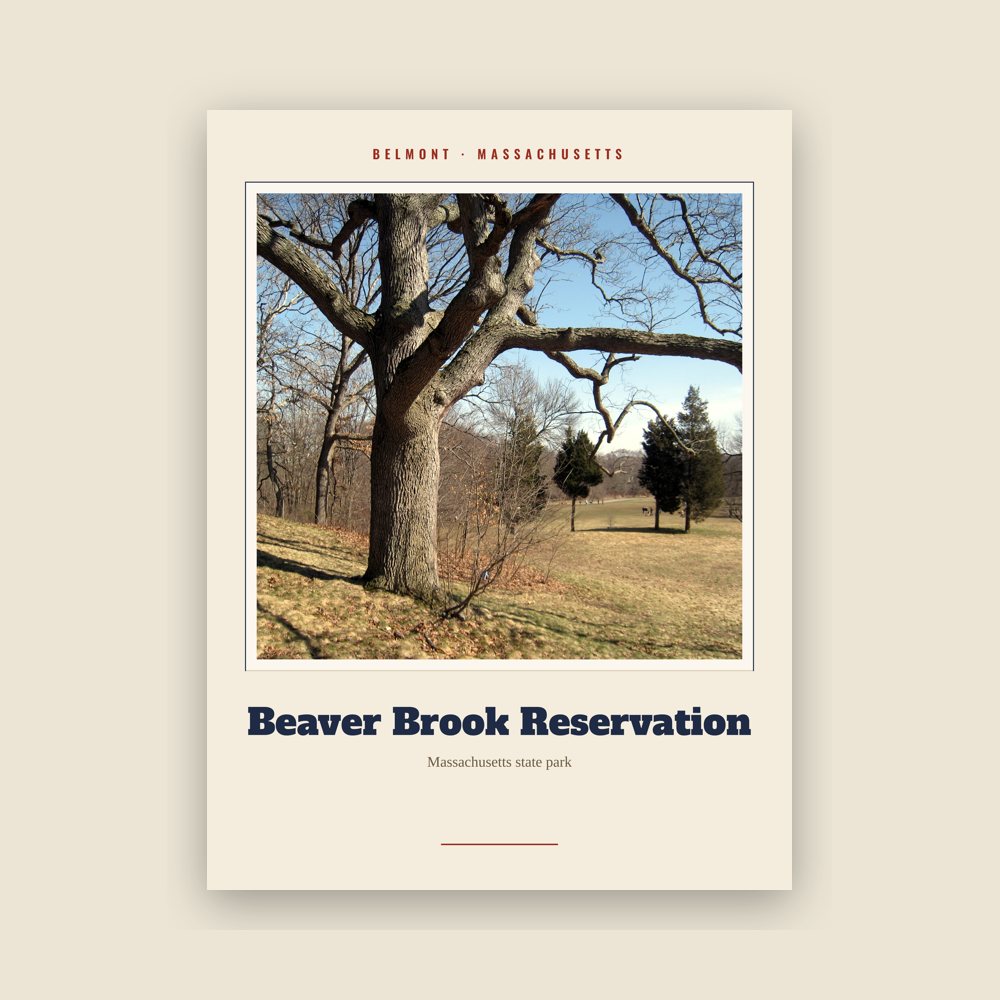 Belmont Beaver Brook Reservation Landmark Print
