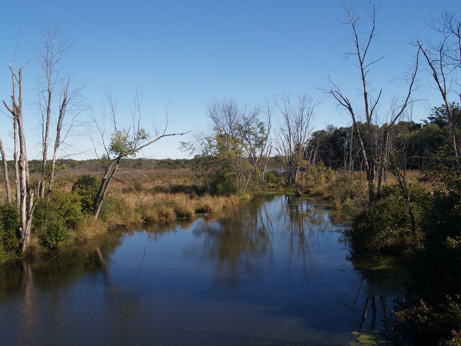 Bolton Flats Wildlife Management Area, Bolton, Massachusetts
