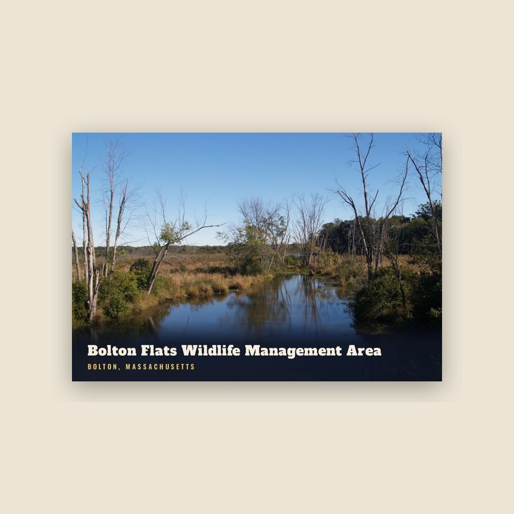 Bolton Bolton Flats Wildlife Management Area Postcard