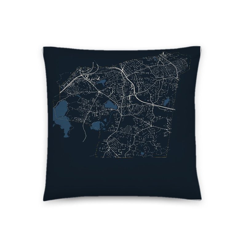 Braintree Map Throw Pillow