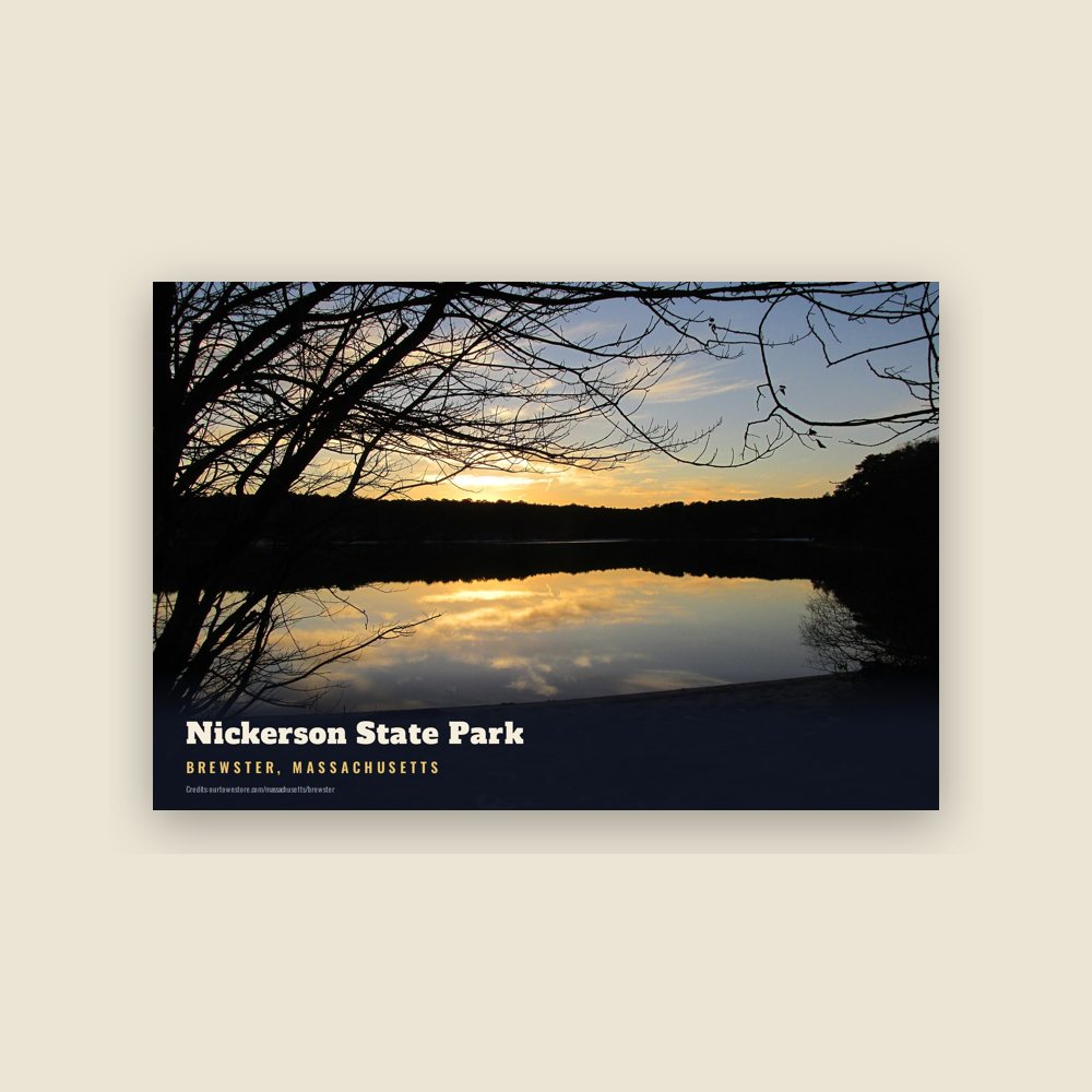 Brewster Nickerson State Park Postcard