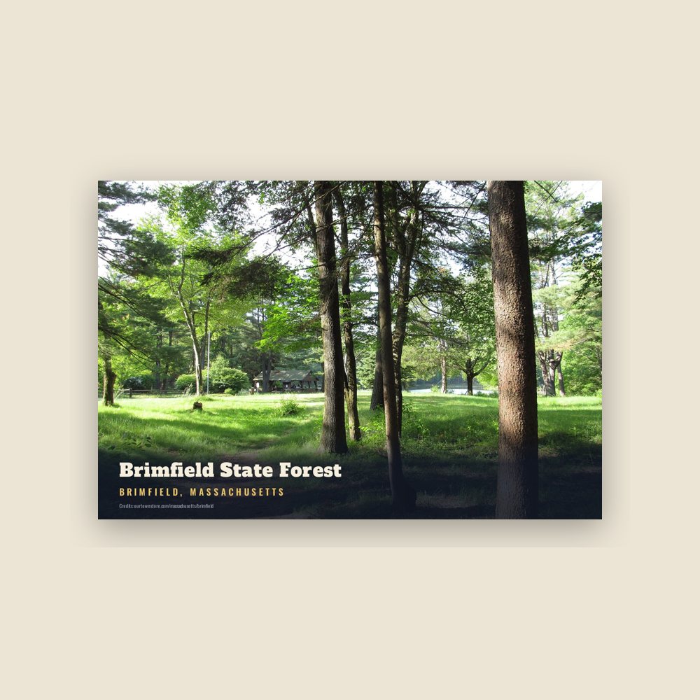 Brimfield Brimfield State Forest Postcard