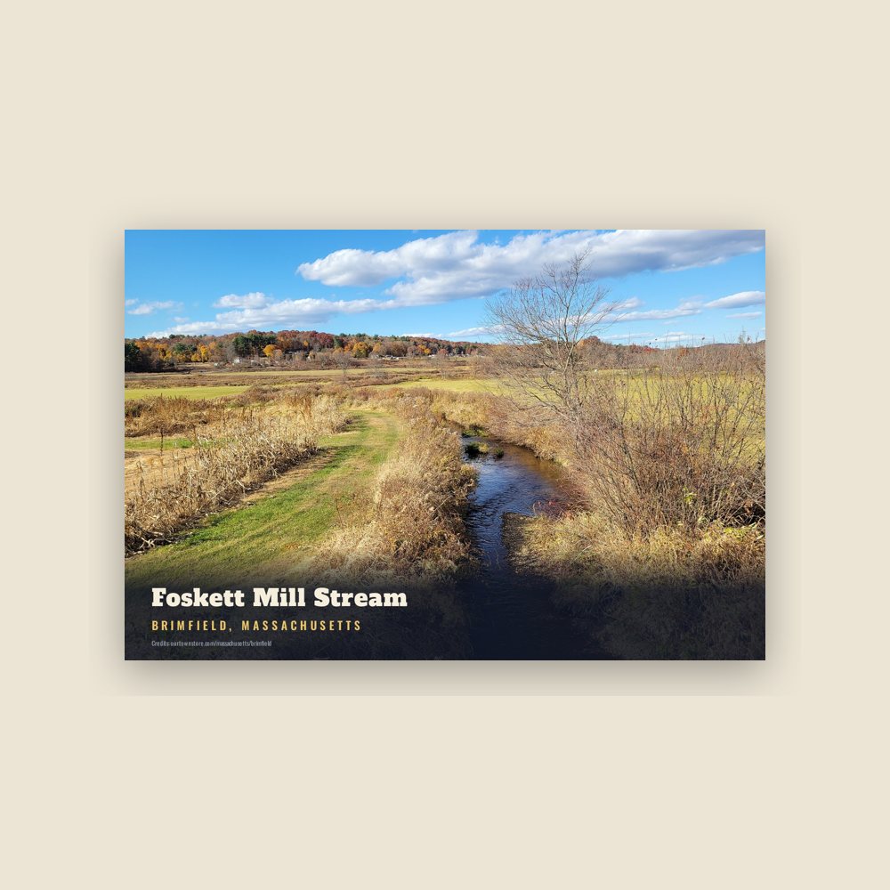 Brimfield Foskett Mill Stream Postcard