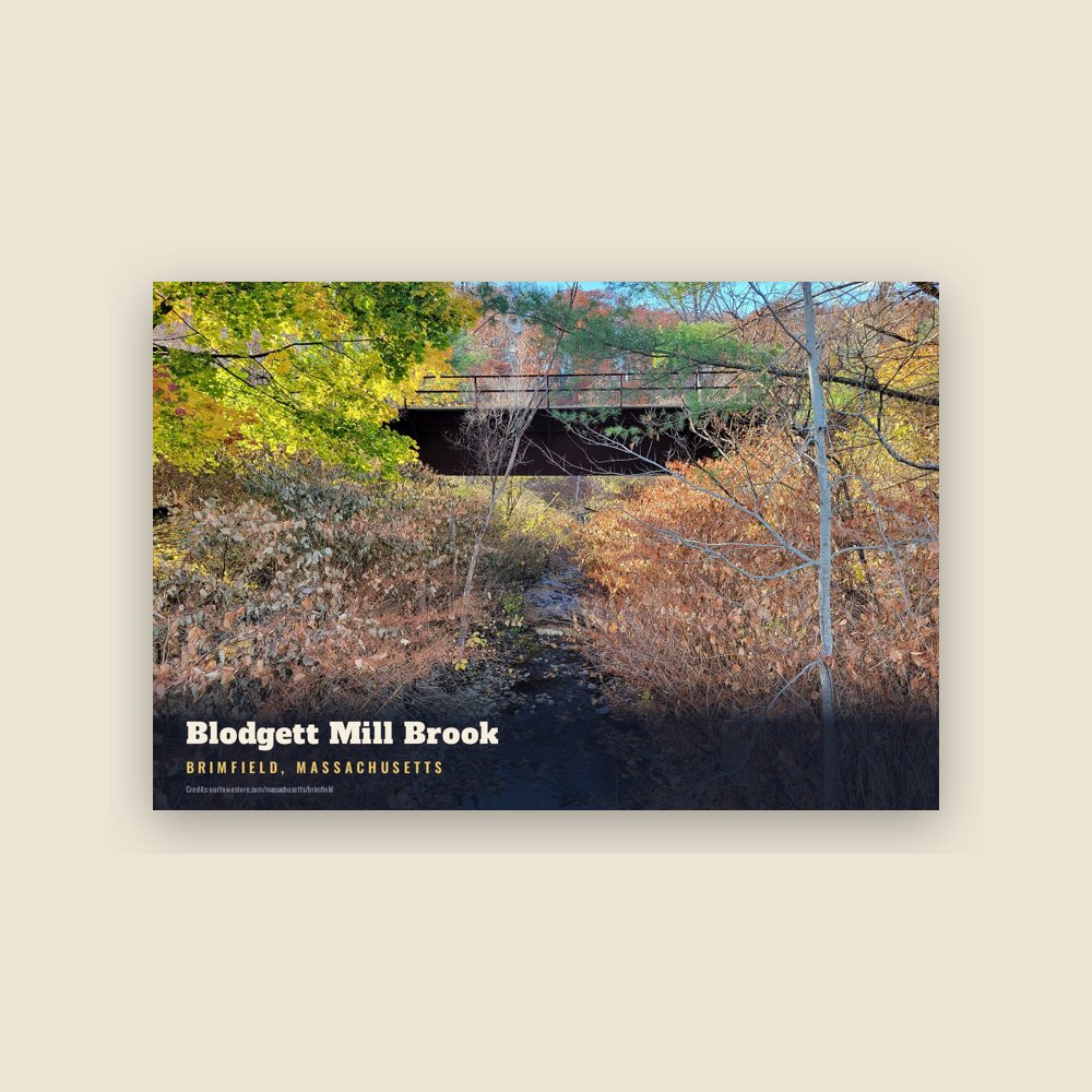 Brimfield Blodgett Mill Brook Postcard