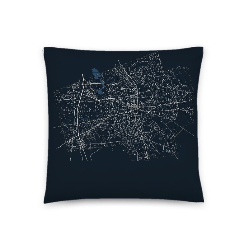 Brockton Map Throw Pillow