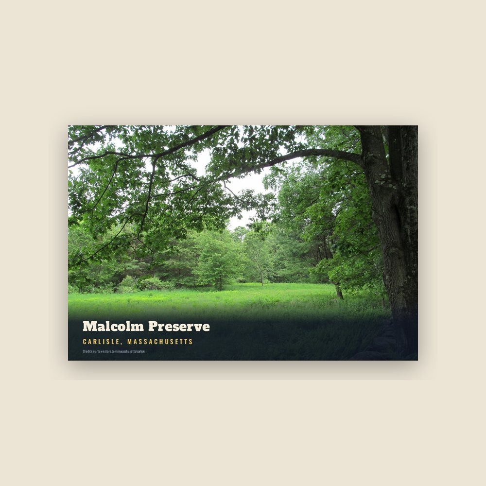 Carlisle Malcolm Preserve Postcard