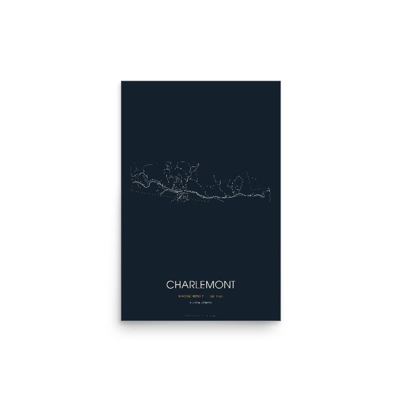 Charlemont Street Map Poster · Midnight