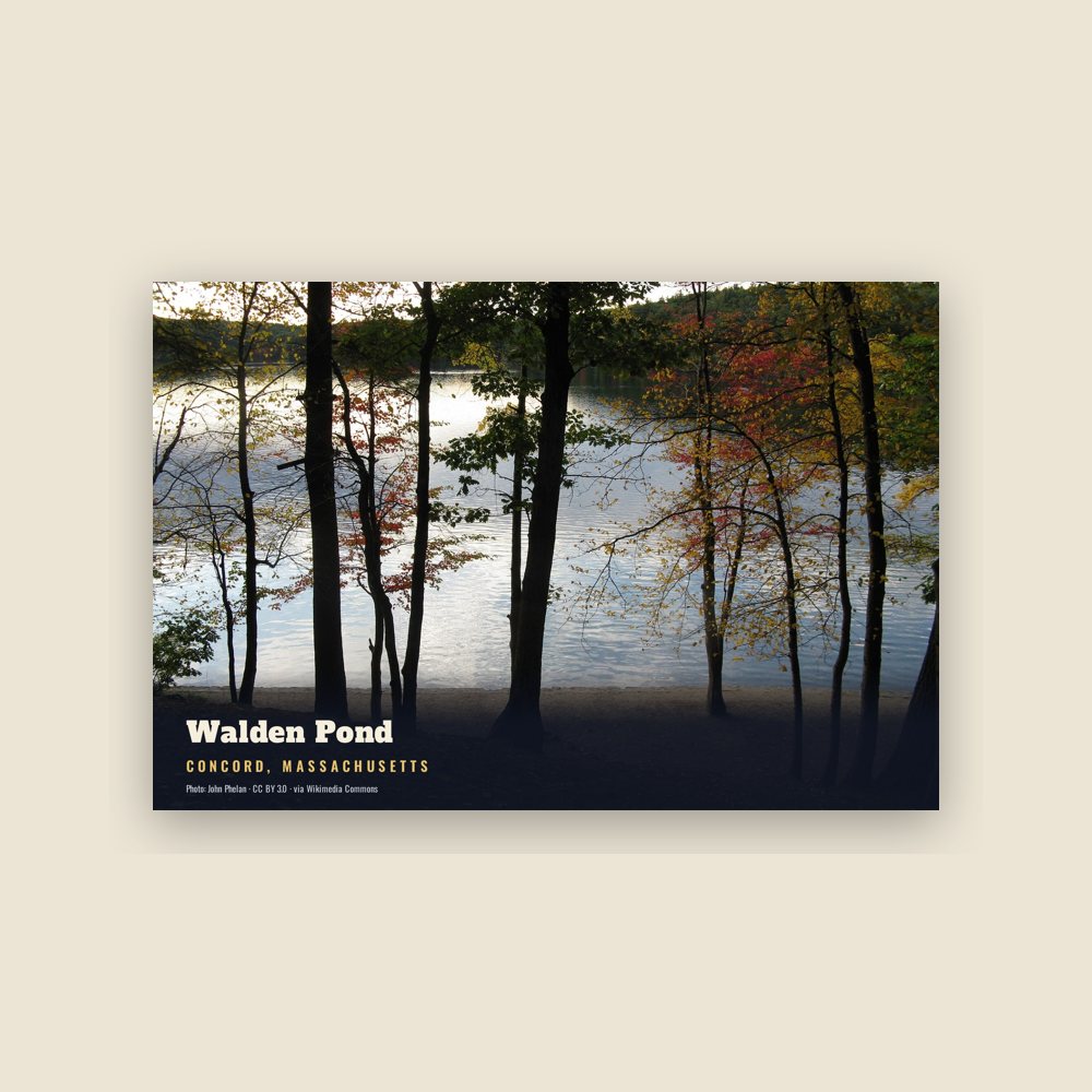 Concord Walden Pond Postcard
