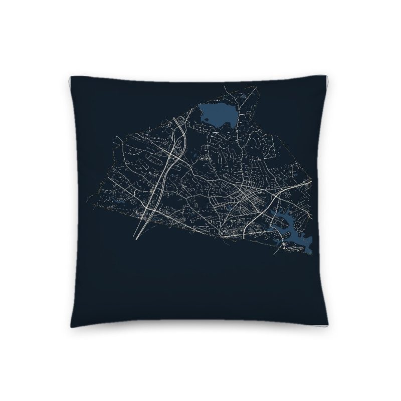 Danvers Map Throw Pillow