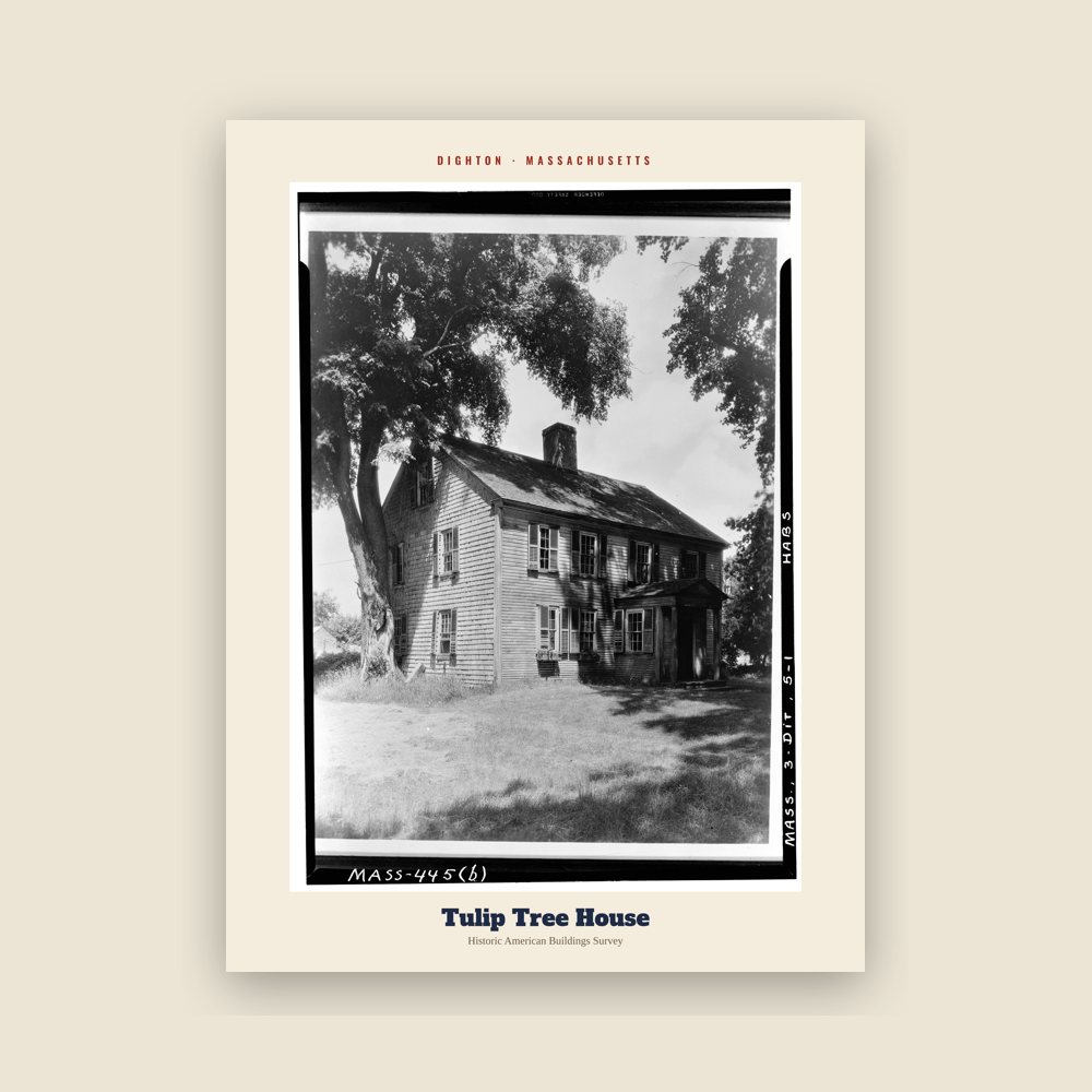 Dighton Tulip Tree House Archive Print