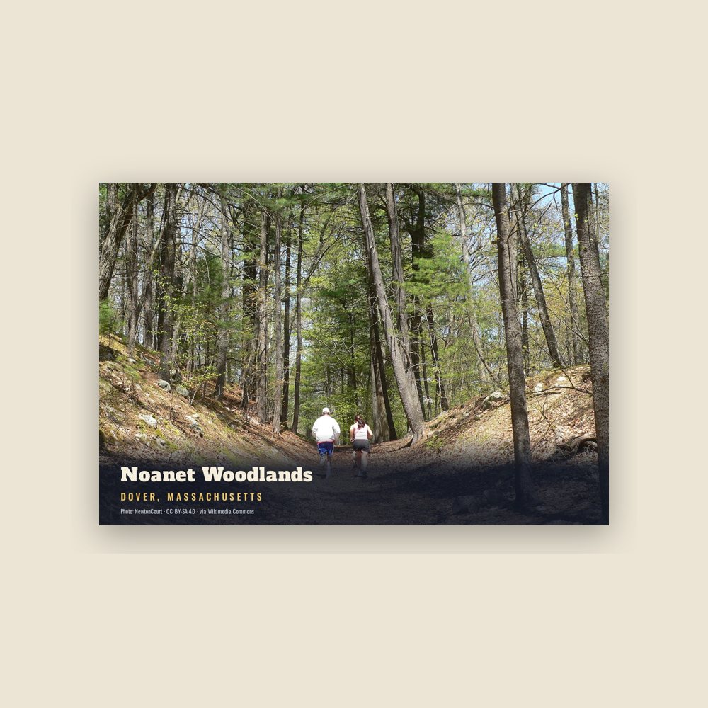 Dover Noanet Woodlands Postcard