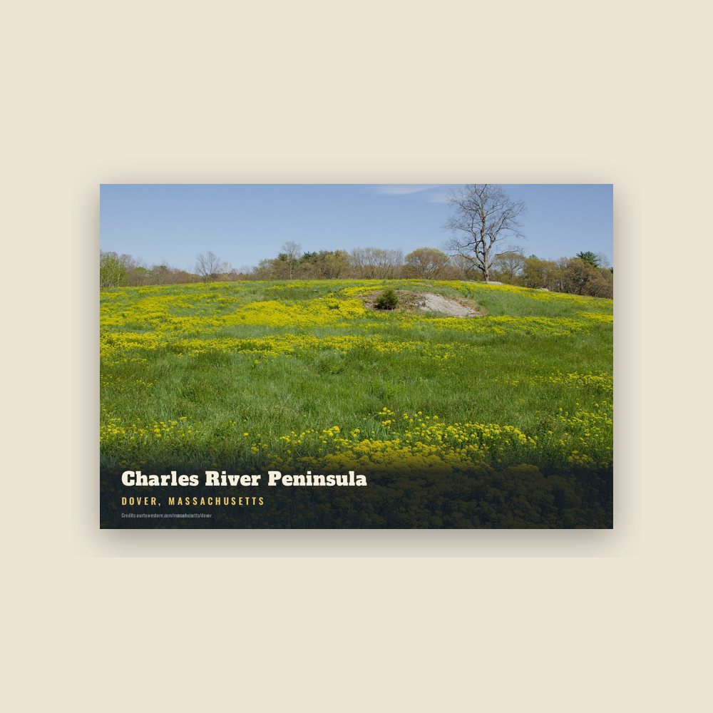 Dover Charles River Peninsula Postcard