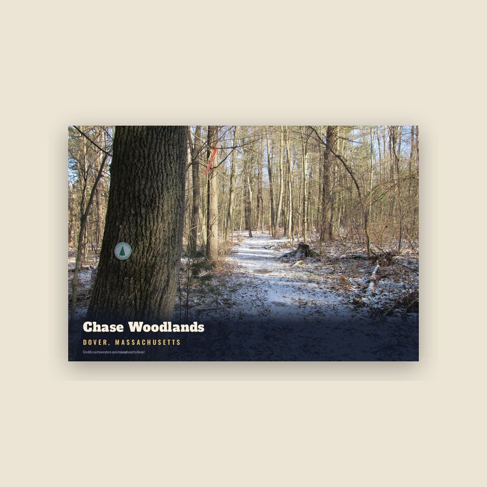 Dover Chase Woodlands Postcard