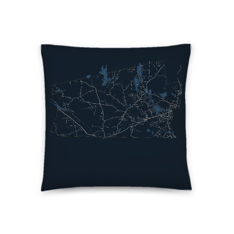 Dudley Map Throw Pillow