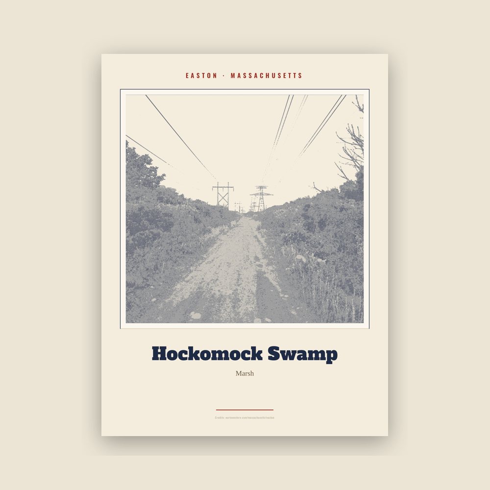 Easton Hockomock Swamp Landmark Print