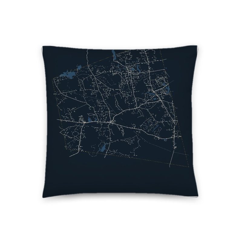Easton Map Throw Pillow