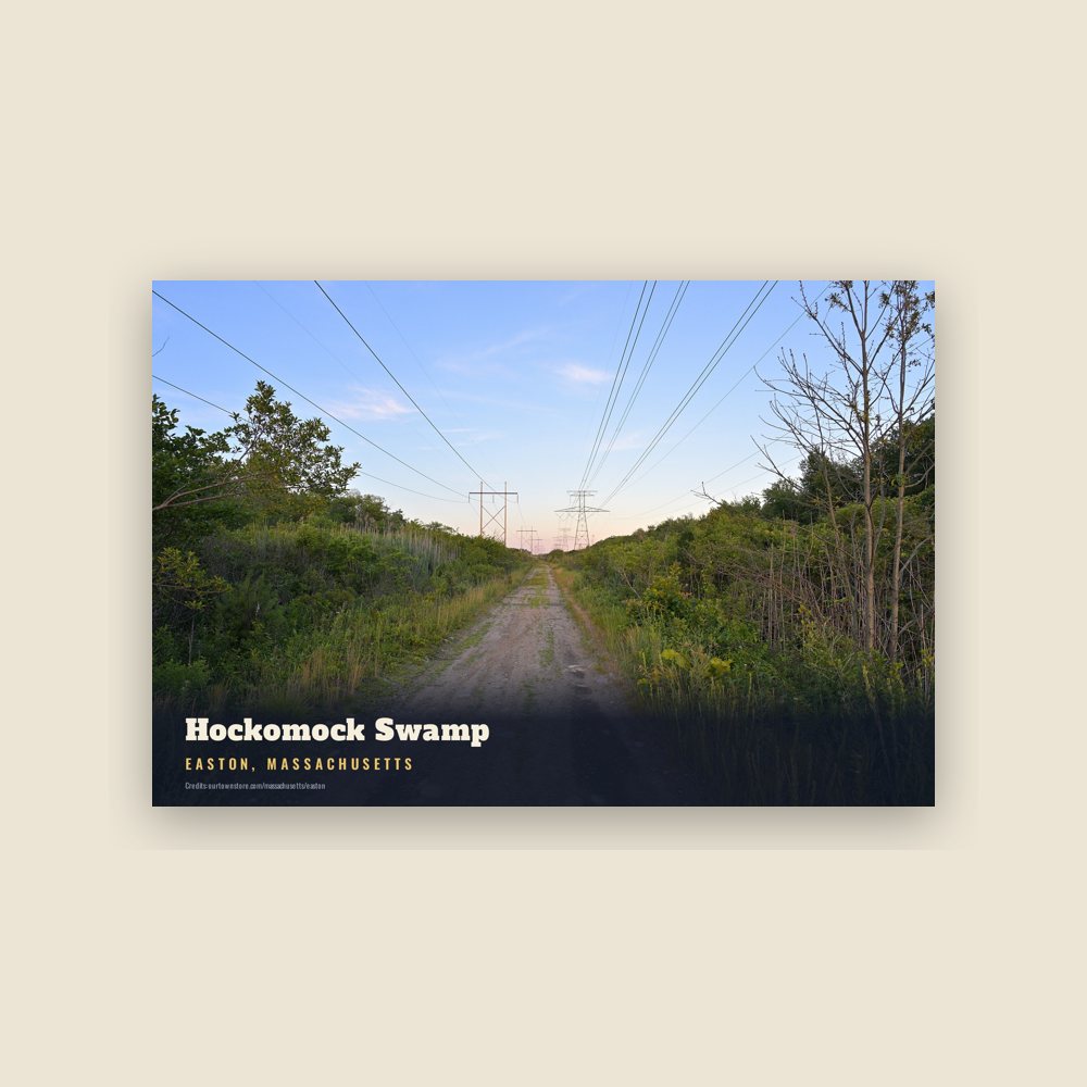 Easton Hockomock Swamp Postcard