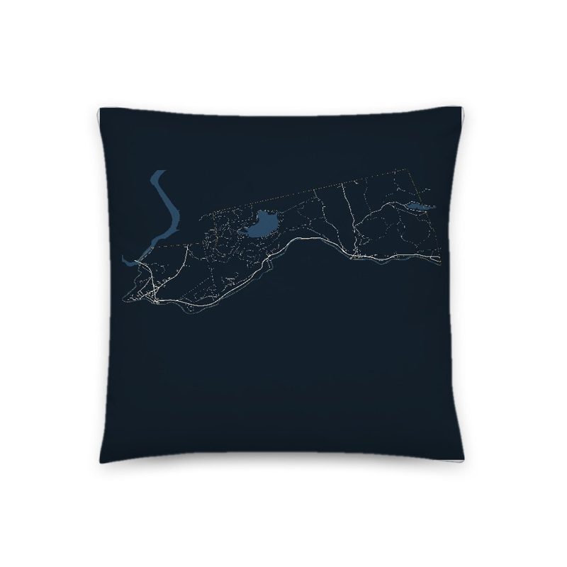 Erving Map Throw Pillow