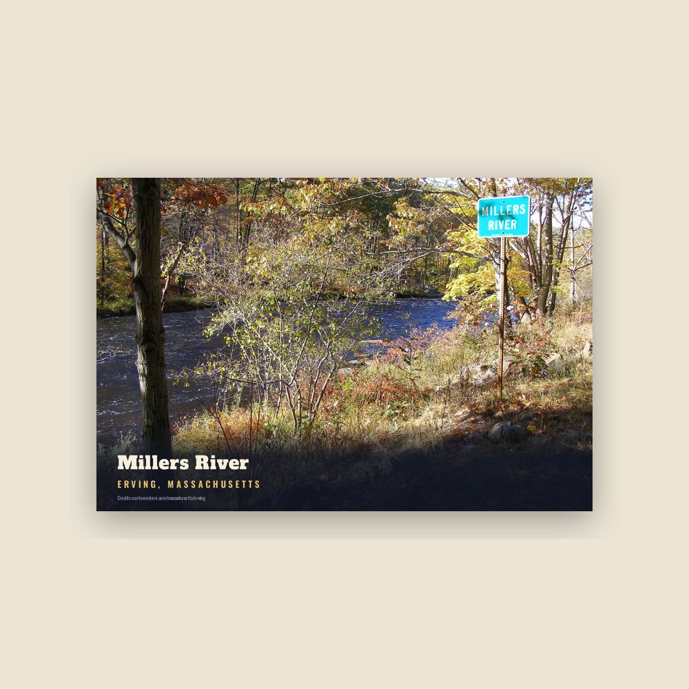 Erving Millers River Postcard