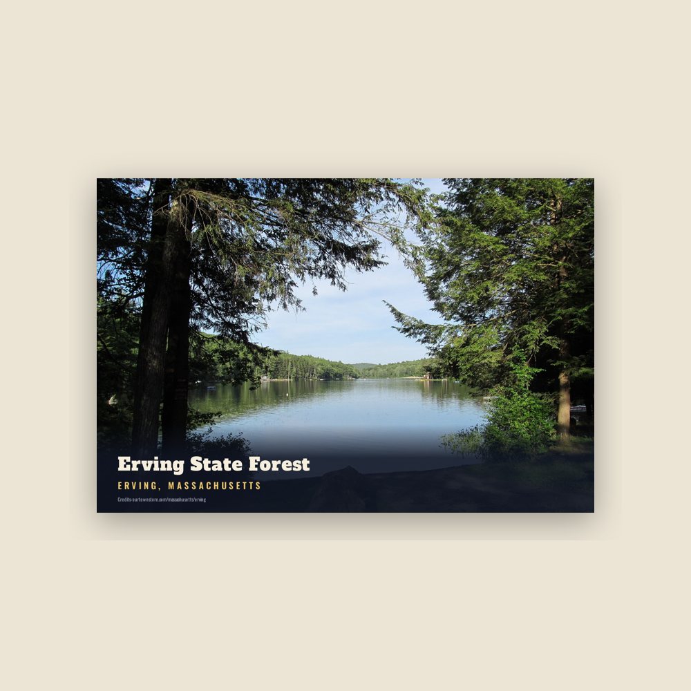 Erving Erving State Forest Postcard