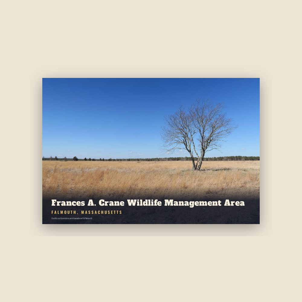 Falmouth Frances A. Crane Wildlife Management Area Postcard