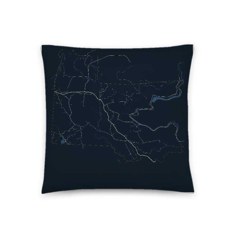 Florida Map Throw Pillow