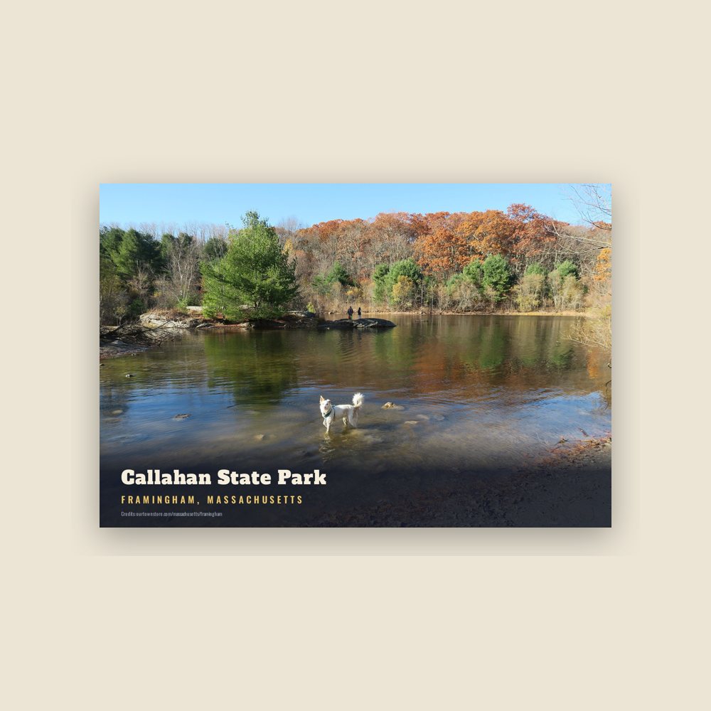 Framingham Callahan State Park Postcard