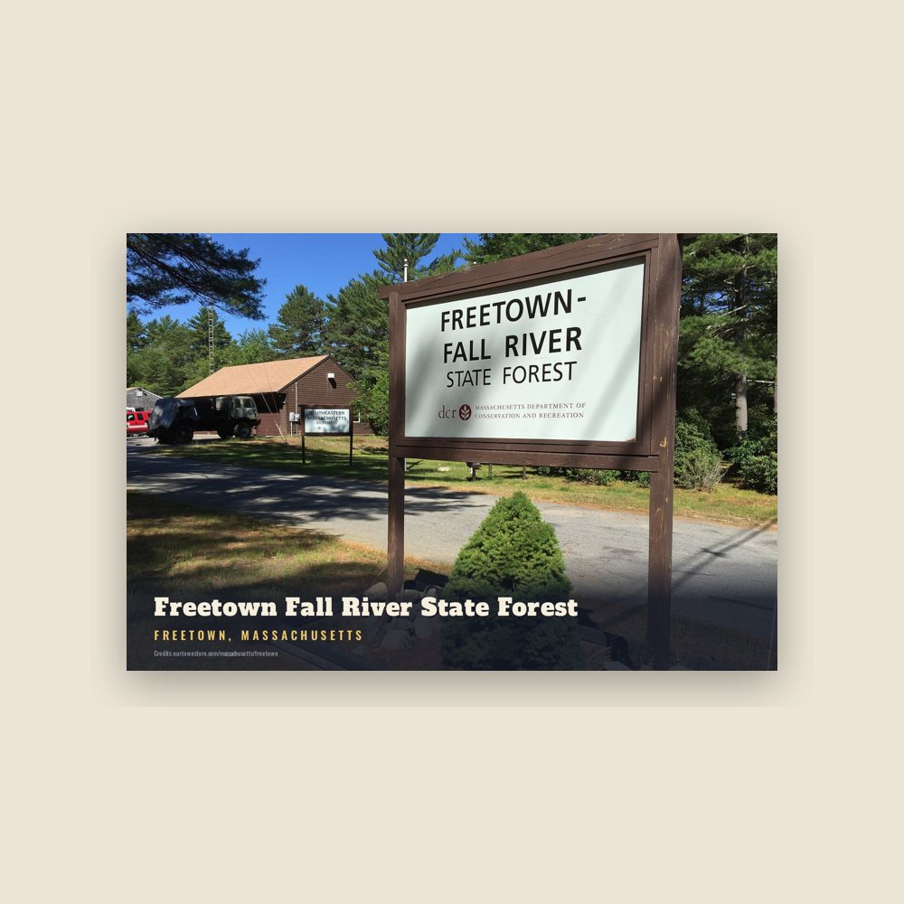 Freetown Freetown Fall River State Forest Postcard