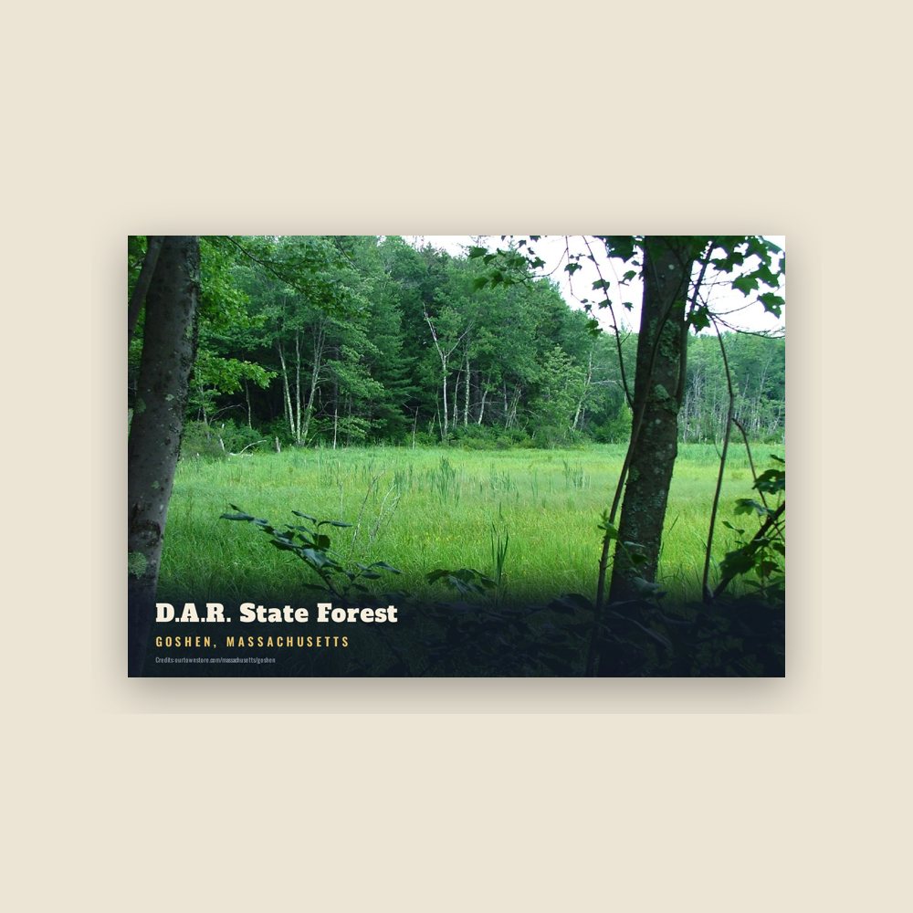 Goshen D.A.R. State Forest Postcard