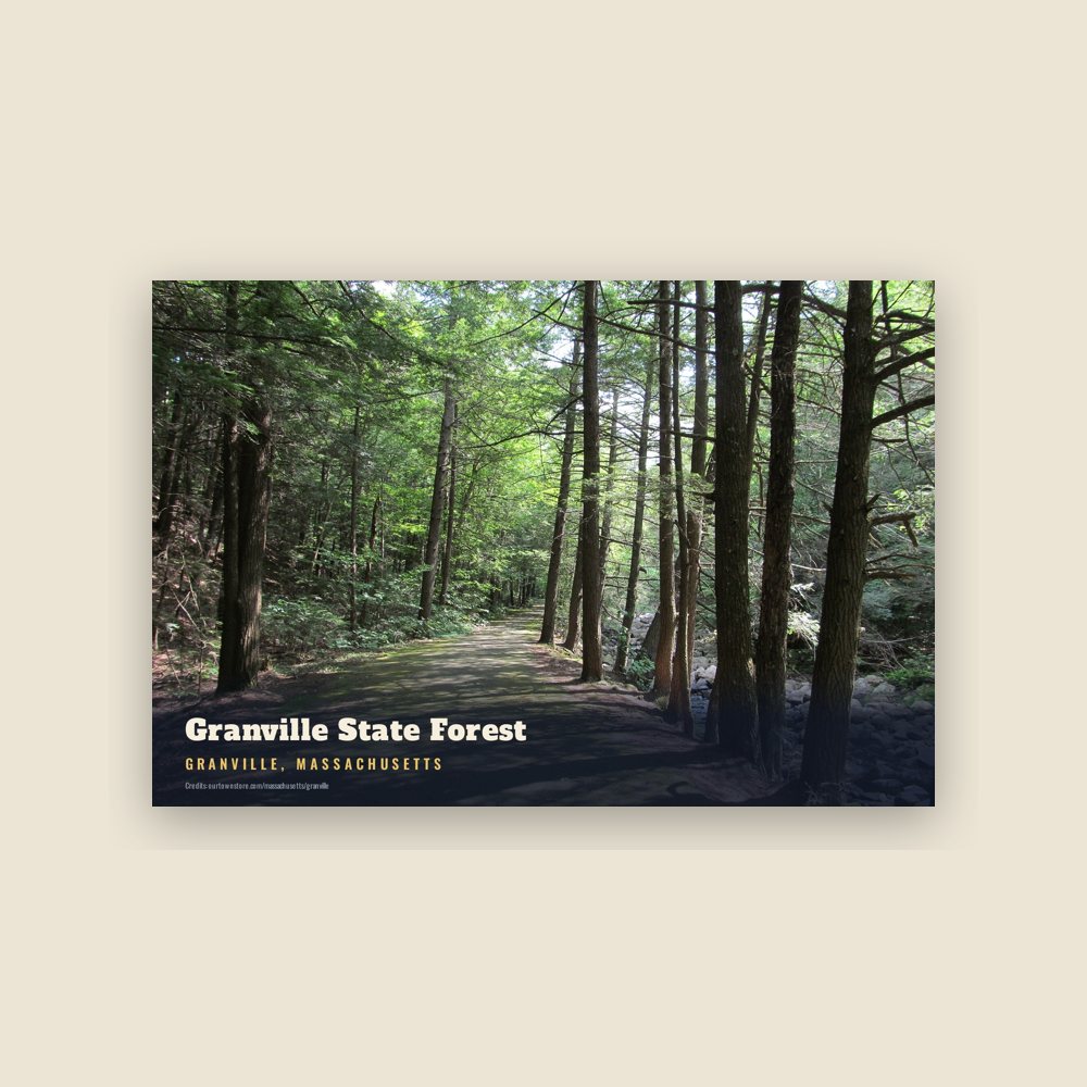 Granville Granville State Forest Postcard
