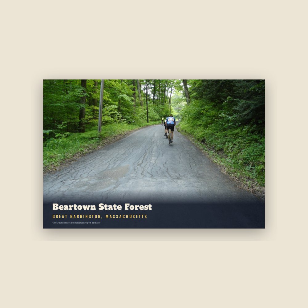 Great Barrington Beartown State Forest Postcard