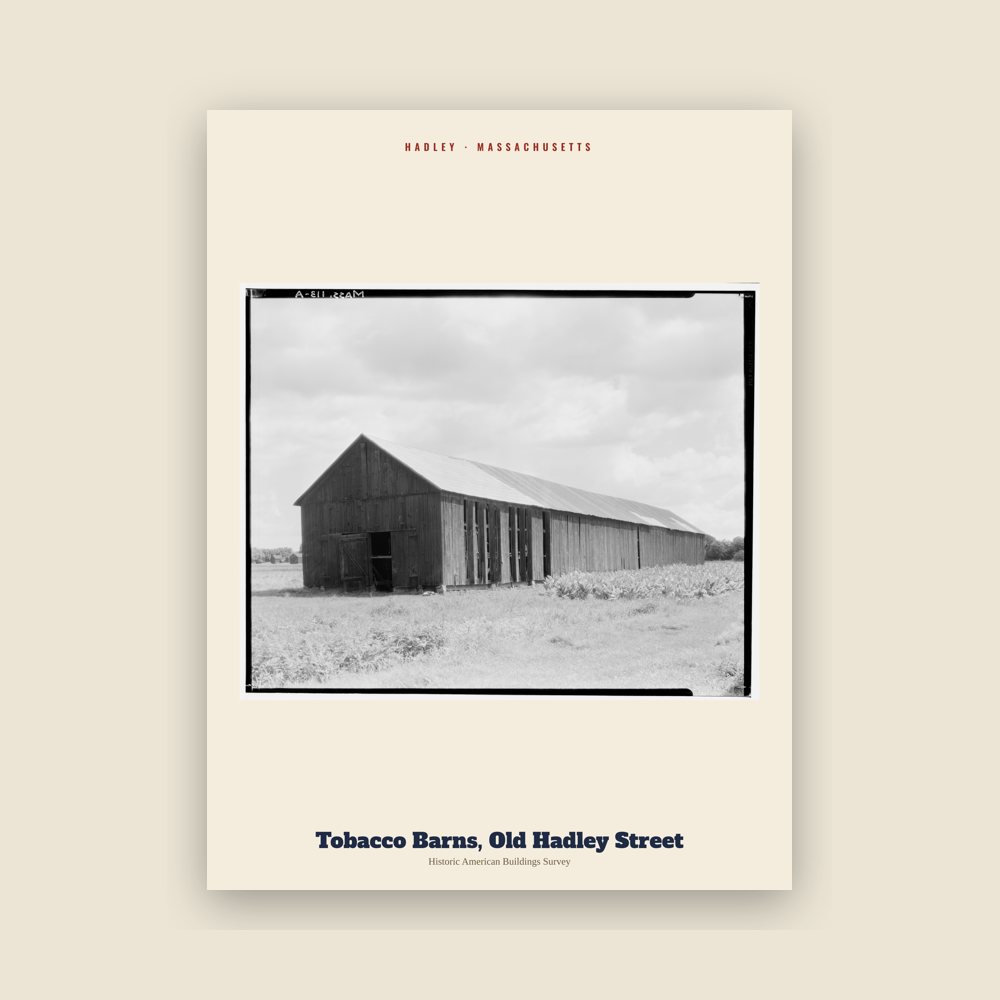 Hadley Tobacco Barns, Old Hadley Street Archive Print