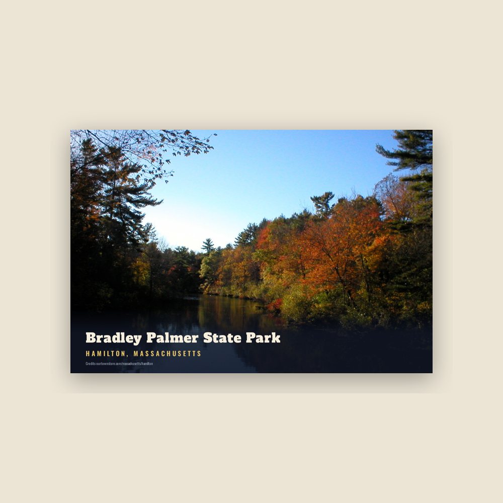 Hamilton Bradley Palmer State Park Postcard