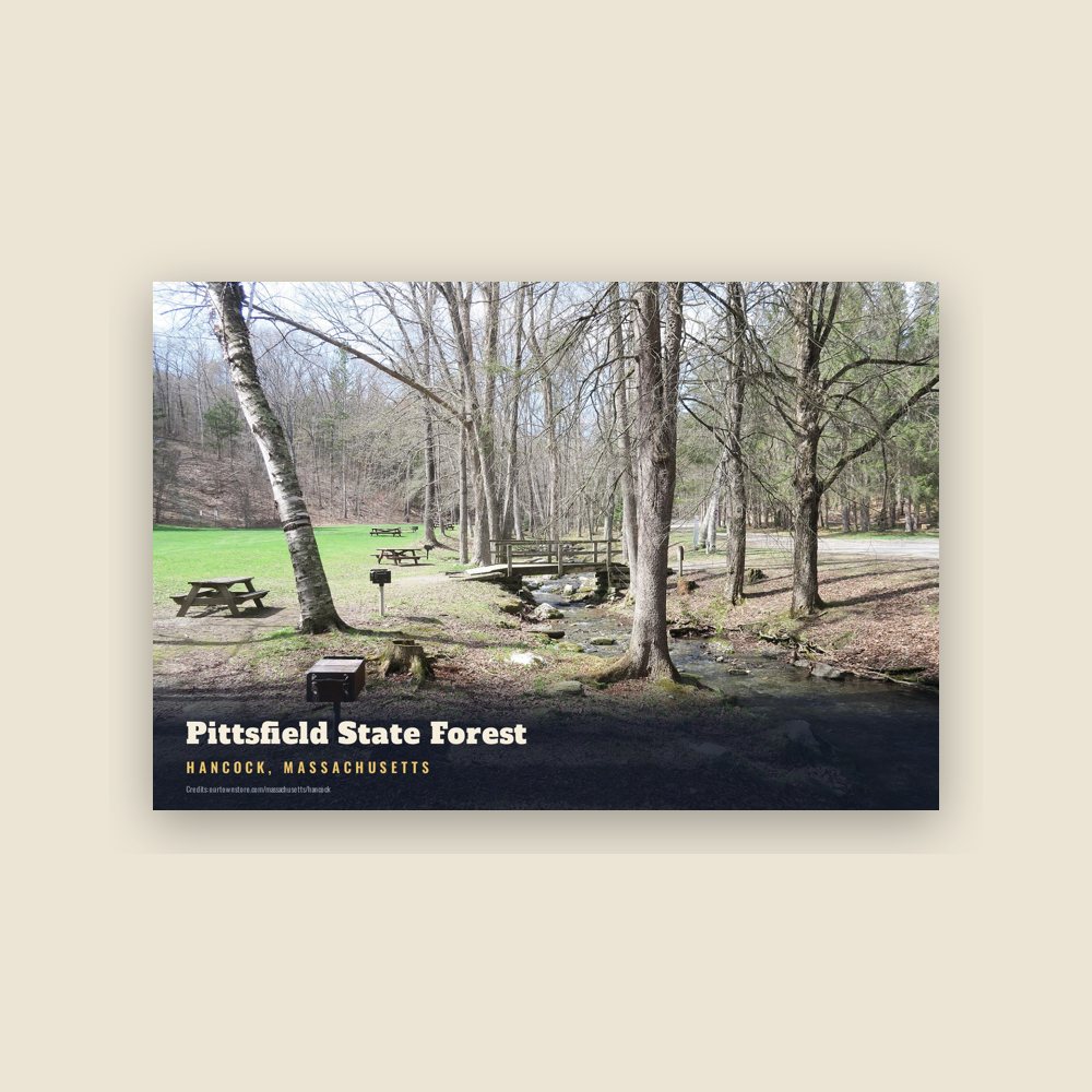 Hancock Pittsfield State Forest Postcard