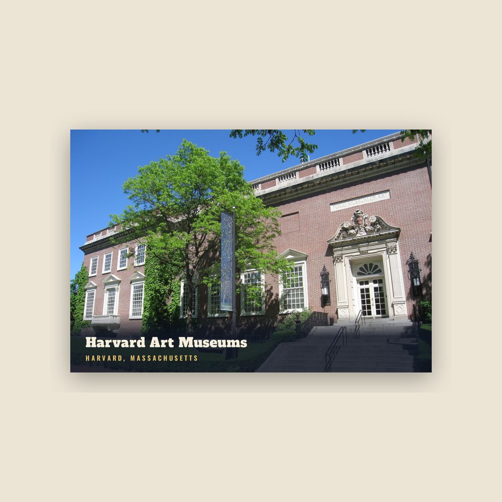 Harvard Harvard Art Museums Postcard