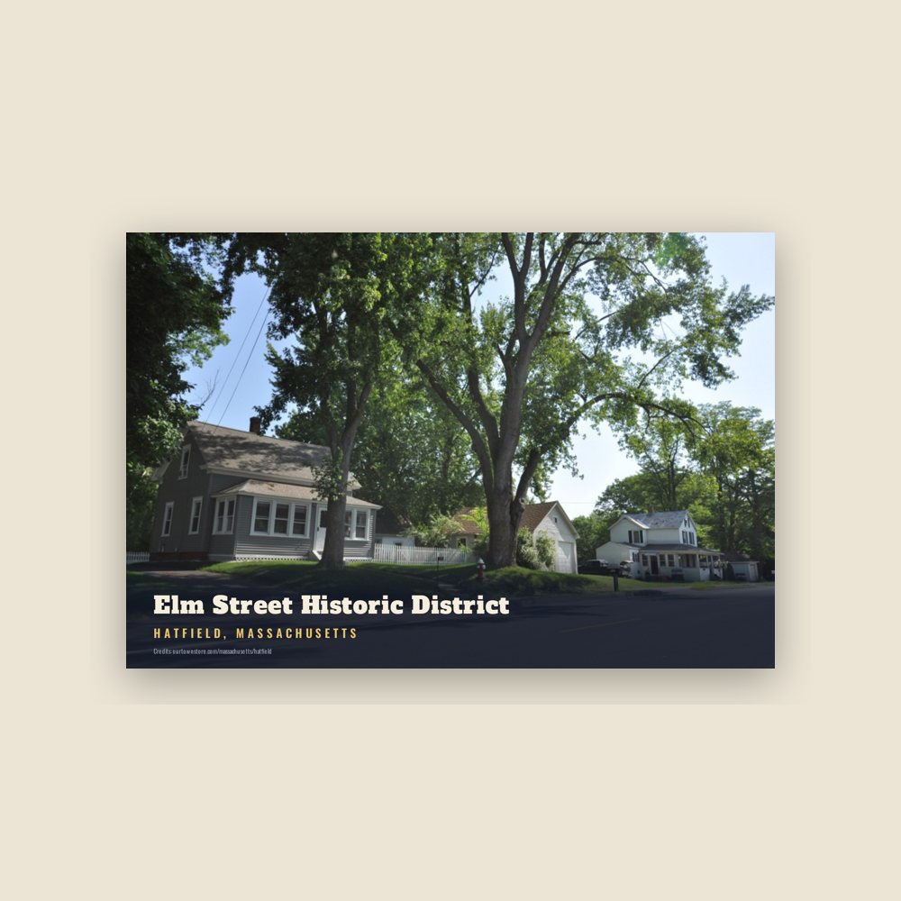 Hatfield Elm Street Historic District Postcard