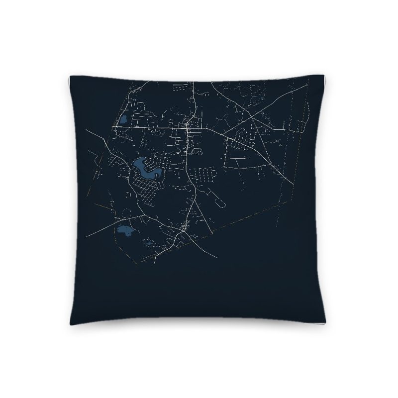 Holbrook Map Throw Pillow