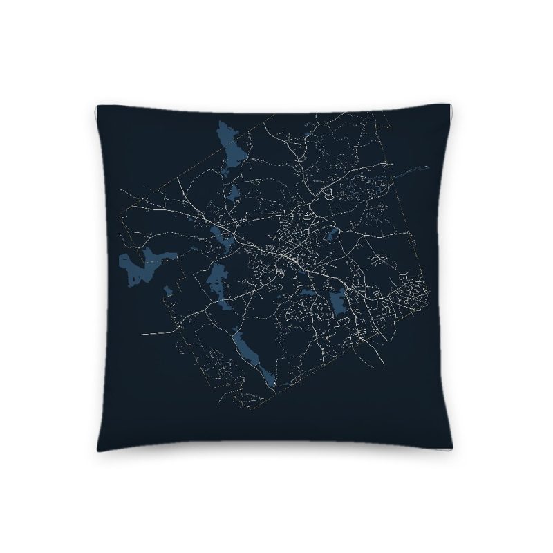 Holden Map Throw Pillow
