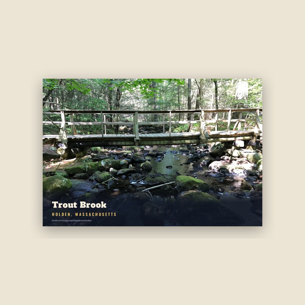 Holden Trout Brook Postcard