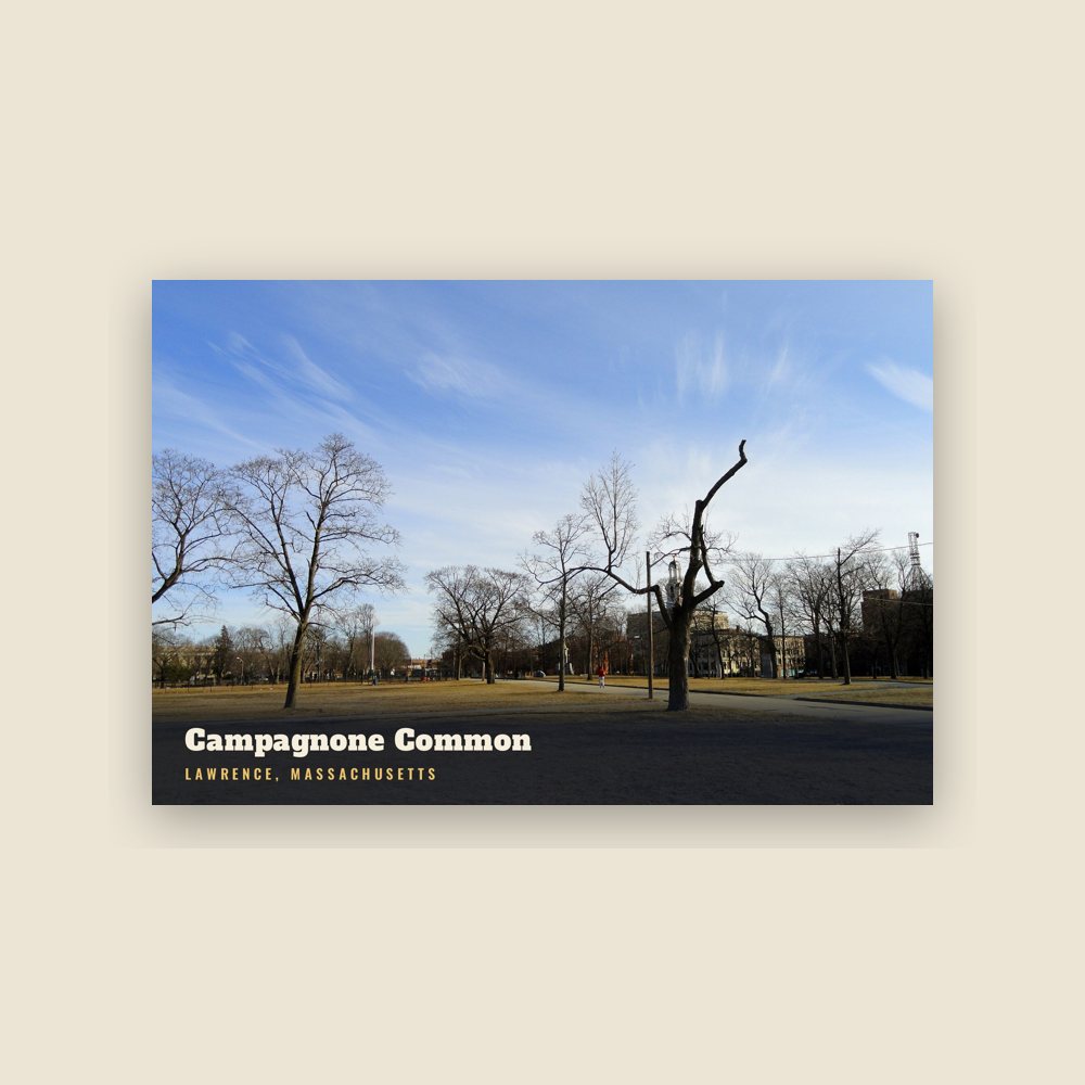 Lawrence Campagnone Common Postcard