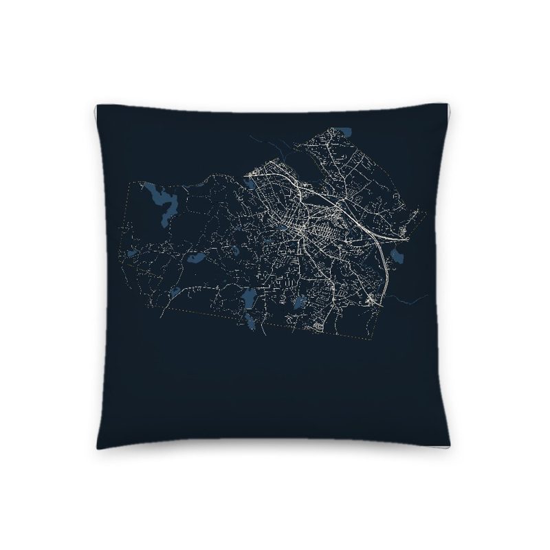 Leominster Map Throw Pillow